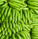 plantain-1.webp