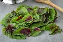 Amaranth-tricolor-bigstock-Fresh-raw-edible-amaranth-leav-427380380-1024x683.webp