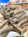 img_6955-1-scaled-1.webp