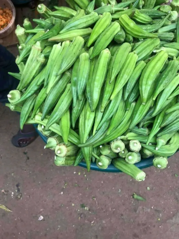 Fresh_Okro_vegetables.webp