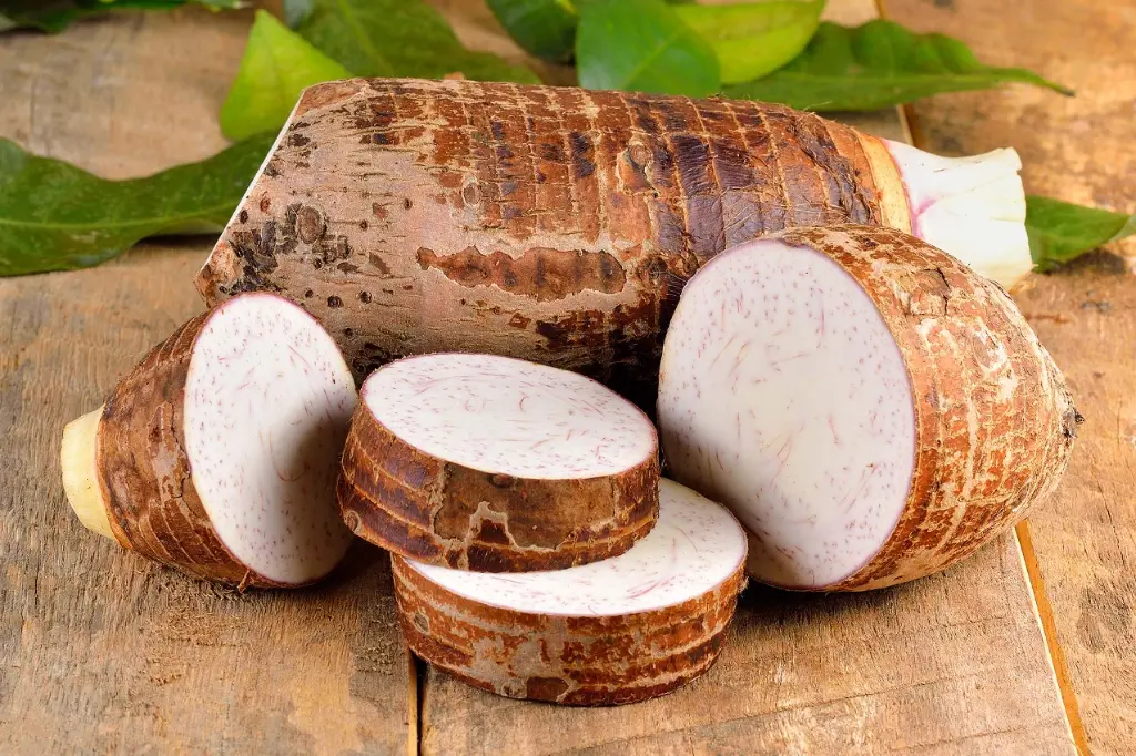 taro.webp