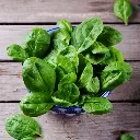 Spinach-leaves-vitamins-source-person.webp