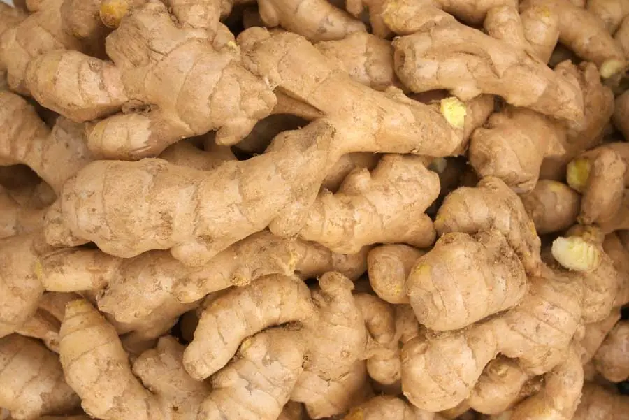 Jesmond-Fruit-Barn-Ginger.webp