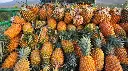 image (1).webp