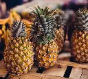 Pineapple-01-5562ee3.webp