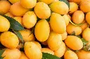 nutritional-value-of-mangoes-jpg.webp