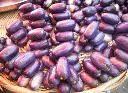 african-plum-frozen-503185_1024x.webp