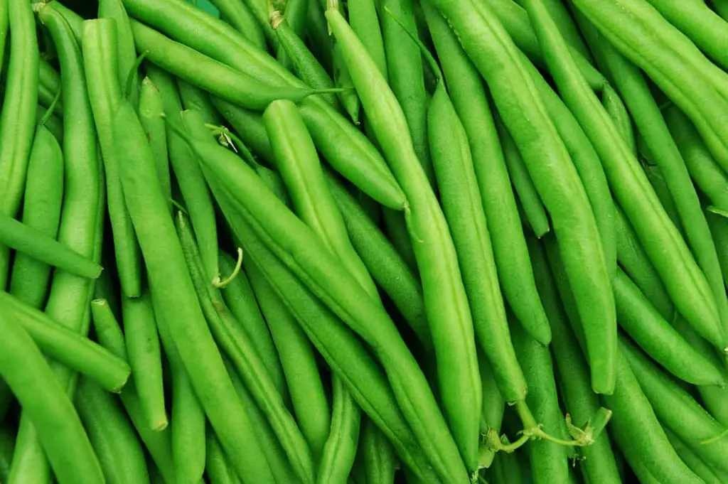 Green-Beans-background.webp