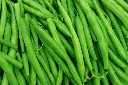 Green-Beans-background.webp
