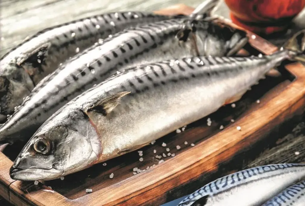 mackerel_use.webp