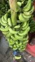 Green Banana