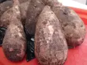 Coco Yam