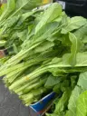 Spinach