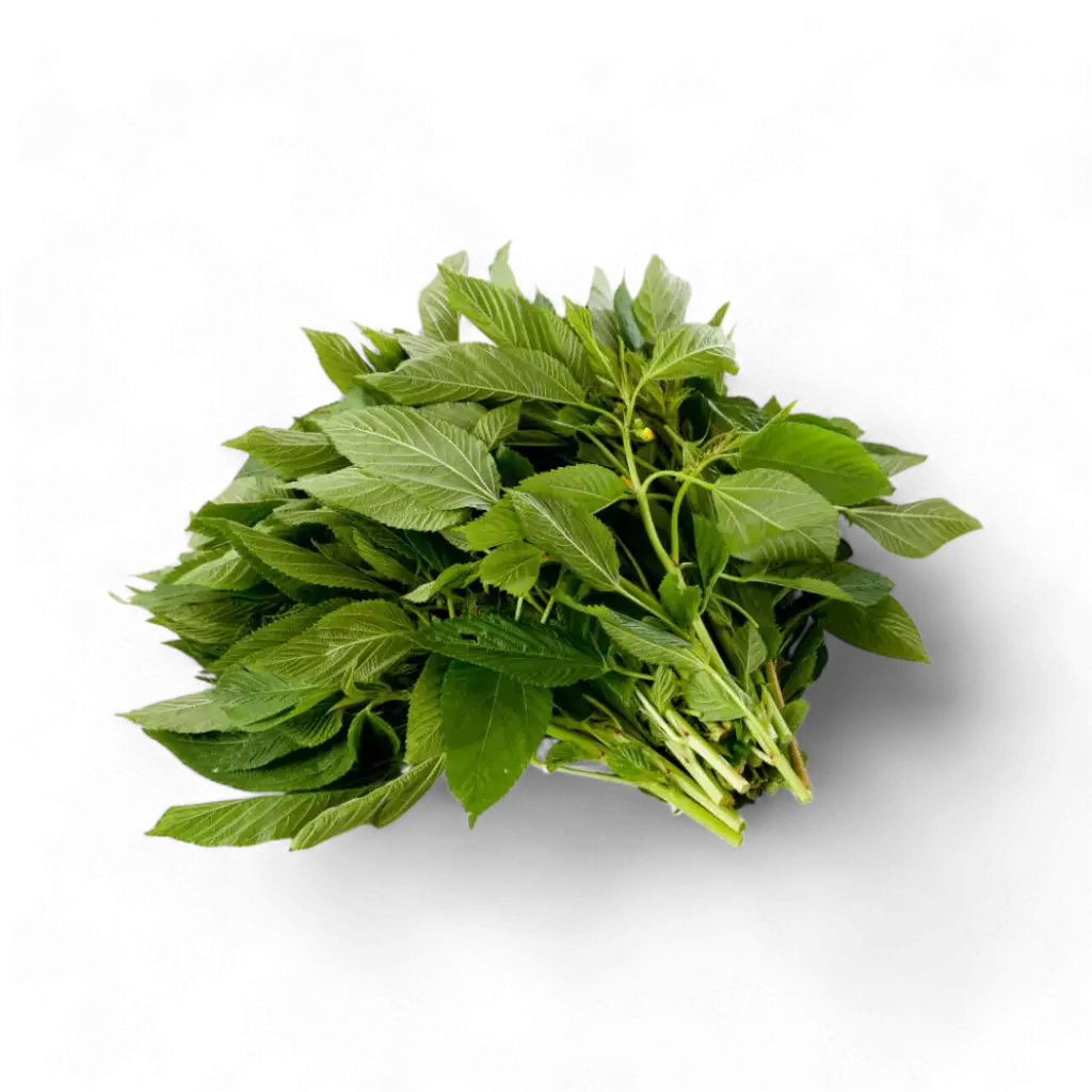Mulukhiyah Leaves (Jute Leaves)