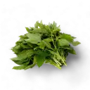 Mulukhiyah Leaves (Jute Leaves)