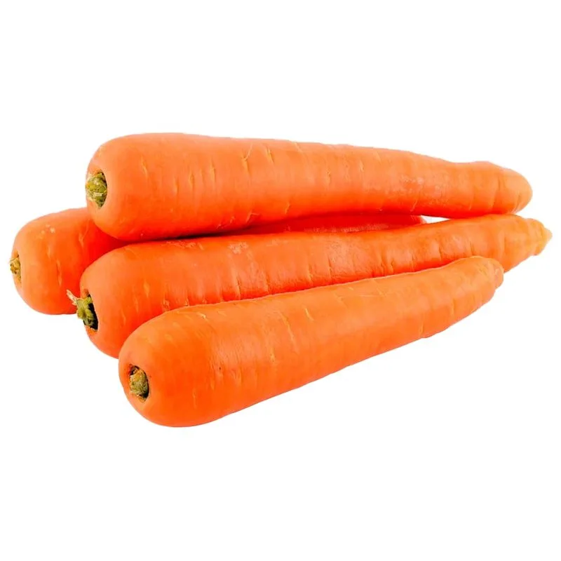 Fresh Carrots